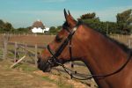 Heritage English Cavesson Leather Bridle