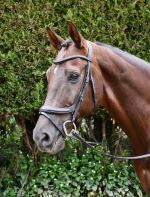 Rhinegold Leather Pro-Anatomical Bridle