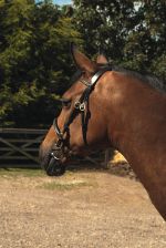 Heritage English Leather In-hand Bridle