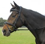 Heritage English Leather Comfort Flash Bridle