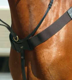 John Whitaker Elasticated Breastplate