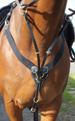 John Whitaker V-Check Breastplate