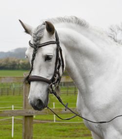 Rhinegold Luxe Anatomical Leather Bridle with Cavesson Noseband