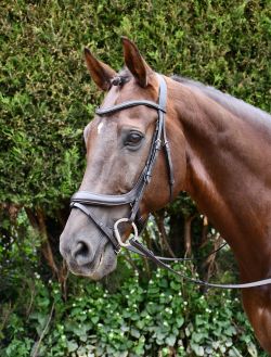 Rhinegold Leather Pro-Anatomical Bridle